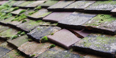 Easton roof repair costs